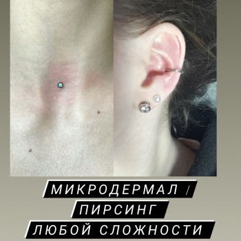 Пирсинг, прокол ушей, пупка, микродермал Александрия
                    Салон красоты LASH&BEAUTY STUDIO Александрия