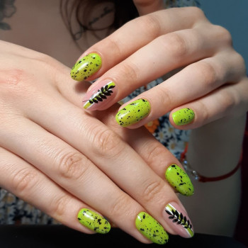 Безопасный маникюр Александрия
                    Салон красоты LASH&BEAUTY STUDIO Александрия