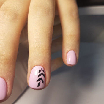 Безопасный маникюр Александрия
                    Салон красоты LASH&BEAUTY STUDIO Александрия