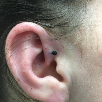 Анатолий , Киев Фото - 8