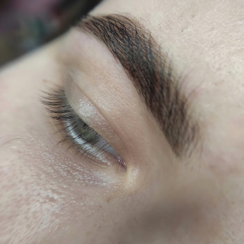 Моделирование бровей и покраска
                    Мастер перманентного макияжа Наталия Каменское