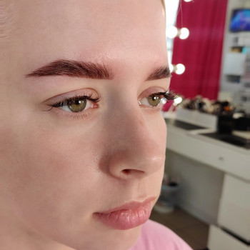 Моделирование бровей и покраска
                    Мастер перманентного макияжа Наталия Каменское