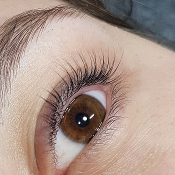 Ламинирование/Ботокс/ресничек. Покраска ресниц
                    Бровист Яна Черновцы