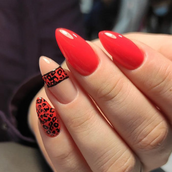 Наращивание ногтей Александрия
                    Салон красоты LASH&BEAUTY STUDIO Александрия