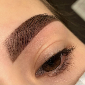 Коррекция и окрашивание бровей
                    Візажист Алина Київ