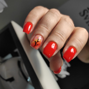 Дар*я Черв'як, Полтава Фото - 21