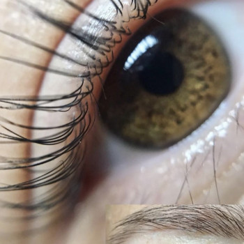 Ламинирование ресниц
                    Лешмейкер Елена Одесса