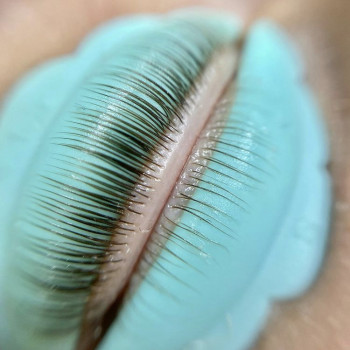 Ламинирование ресниц
                    Лешмейкер Екатерина Киев