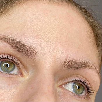 Ламинирование ресниц + окрашивание + ботокс
                    Бровист Зоя Одесса