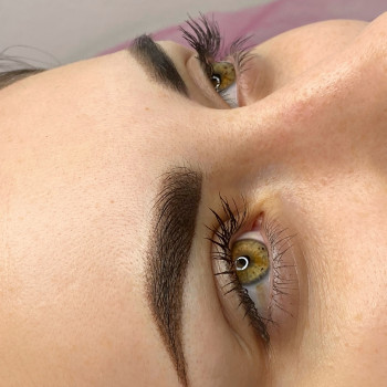 Татуаж бровей
                    Мастер перманентного макияжа Алина Павлоград