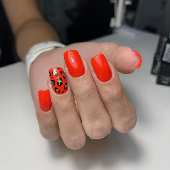 Малинна, Вишневе Фото - 15