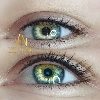 Пудровые брови
                    Мастер перманентного макияжа Наталья Бровары