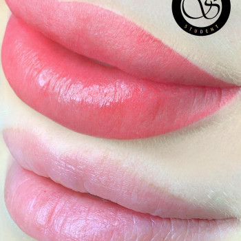 Татуаж губ
                    Мастер перманентного макияжа Любов Ровно