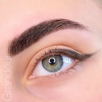 Коррекция+окрашивание бровей