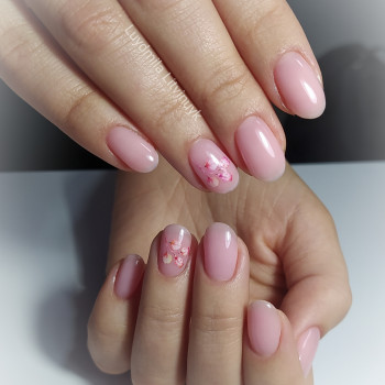 Людмила Литвинюк, Хмельницкий Фото - 79