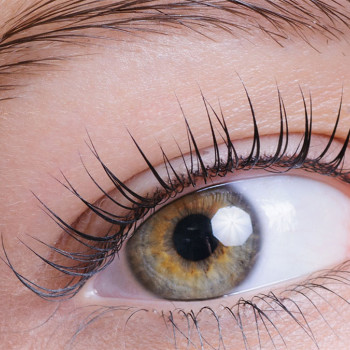 Ламінування вій Lami Botox
                    Лешмейкер Марина Сумы