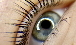 Ламинирование ресниц Майстер перманентного макіяжу Ирина Харків