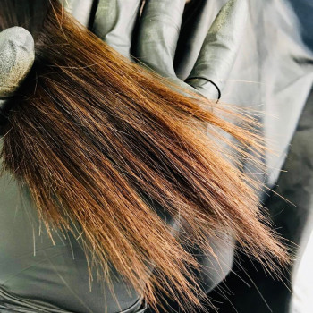 Світлана Домбровська, Львов Фото - 7