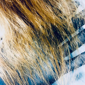 Світлана Домбровська, Львов Фото - 4