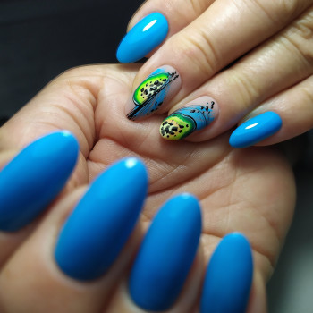 Дар`я Плохат, Запоріжжя Фото - 82