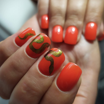 Дар`я Плохат, Запоріжжя Фото - 91