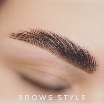 Долговременная укладка бровей (ламинирование бровей) с окрашиванием
                    Бровист Валерия Запорожье