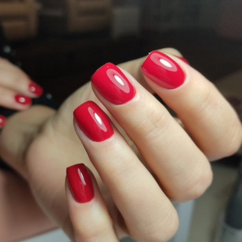 Кутикула, Сумы Фото - 19