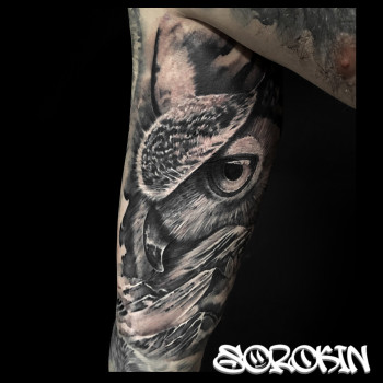 Тату сова black&grey, фото - Тату майстер Євген Сорокін