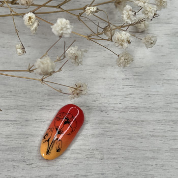 Дизайни
                    Мастер маникюра Любов Винница