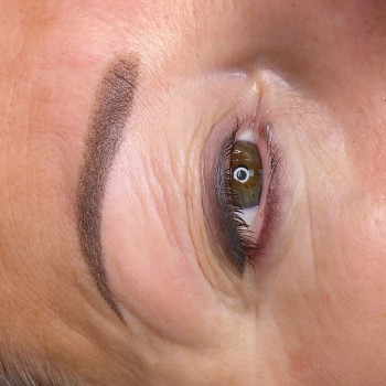 Бровки (оновлення), повіки (верхня - через 2 роки, нижня тіл