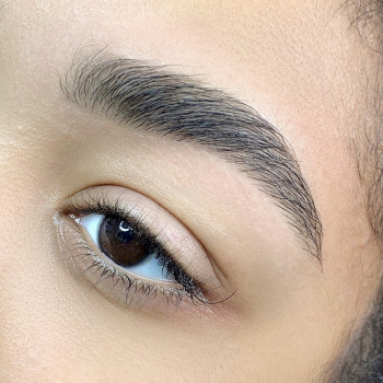 Моделирование бровей и покраска
                    Бровист Кристина Харьков