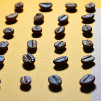 Римма Охрамовская, Одесса Фото - 43