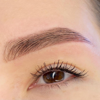Корекція та фарбування брів фарбою
                    Салон красоты ZMINA beauty space Киев