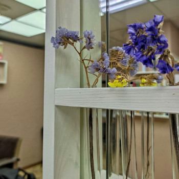 Charisma, Запорожье Фото - 25