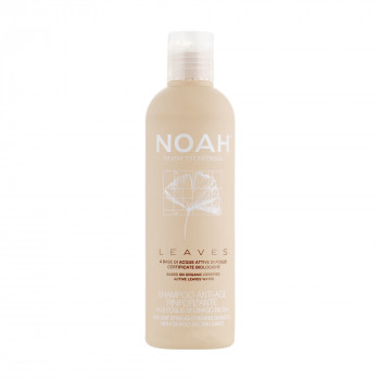 Зміцнювальний шампунь для волосся Noah Leaves Anti-Aging Strengthening Shampoo з листям гінкго, 250 мл