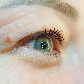 Ламинирование ресниц
                    Салон красоты MK Novik Запорожье