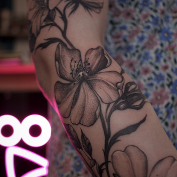 Алена Ларина, Киев Фото - 17