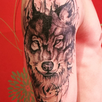 Алим Алиев , Херсон Фото - 8