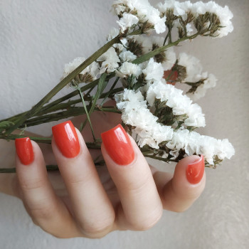 Корекція нарощених нігтів
                    Майстер манікюру Татьяна Київ