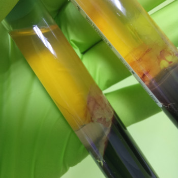 Людмила Бондаренко, Днепр Фото - 6