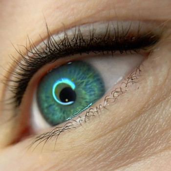 стрелка с раст