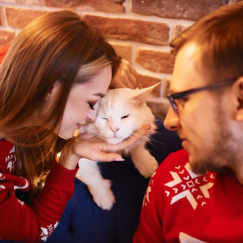 Light's Studio, Житомир Фото - 5