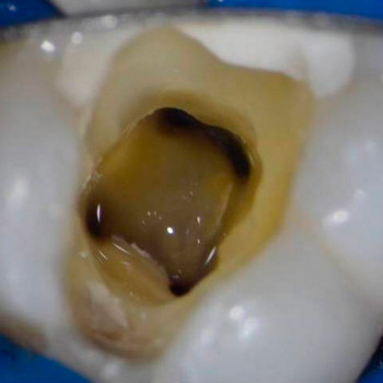 Endoclinic, Кривий Ріг Фото - 5