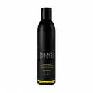 Чоловічий нормалізувальний шампунь Profi Style Men's Style Normalizing Shampoo для жирного волосся, 250 мл