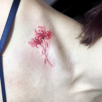 Тату От 500 до 1000 грн ща размер до 20 см