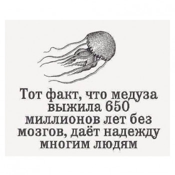 Андрій Герасименко, Київ Фото - 7