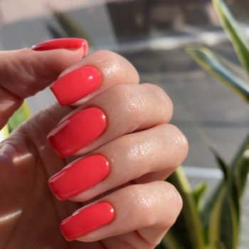 Liloo, Київ Фото - 29