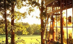 Онлайн консультація Психолог Виктор Житомир