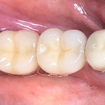 Mira Dent, Тернопіль Фото - 5