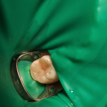 Артём Брек, Сумы Фото - 5